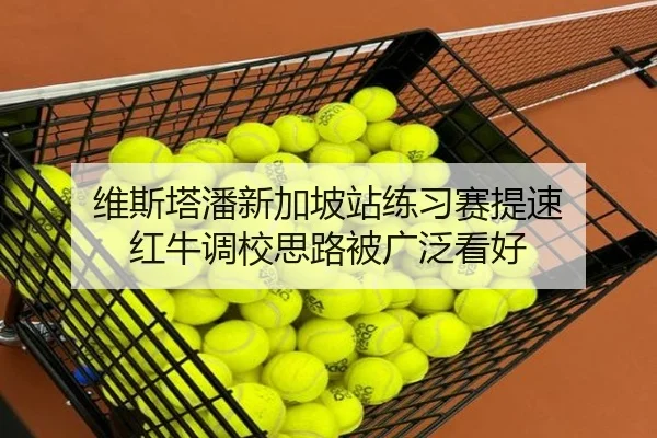 维斯塔潘新加坡站练习赛提速 红牛调校思路被广泛看好 - JIUYOU SPORTS